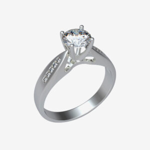 Ring 002