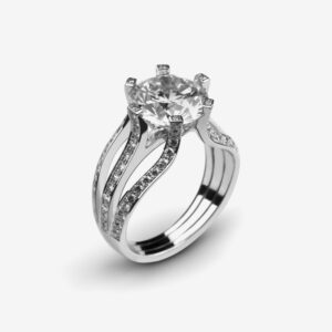 Ring 004